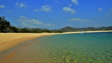 Bay Tours